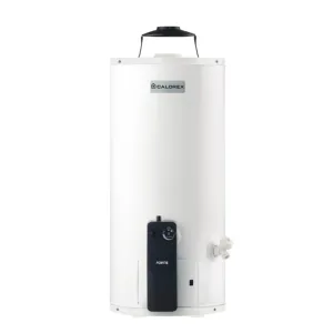 Calentador de depósito Calorex Fortis G-20 para 2 servicios