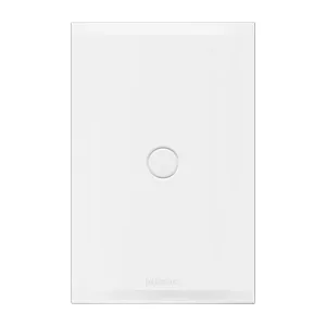 Placa ciega con preperforación Forza 2 FZ5S0B Bticino