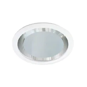 Close-up of a round white ceiling light fixture with a glass dome interior.