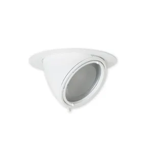 White dome security camera mounted on a ceiling, angled downward.