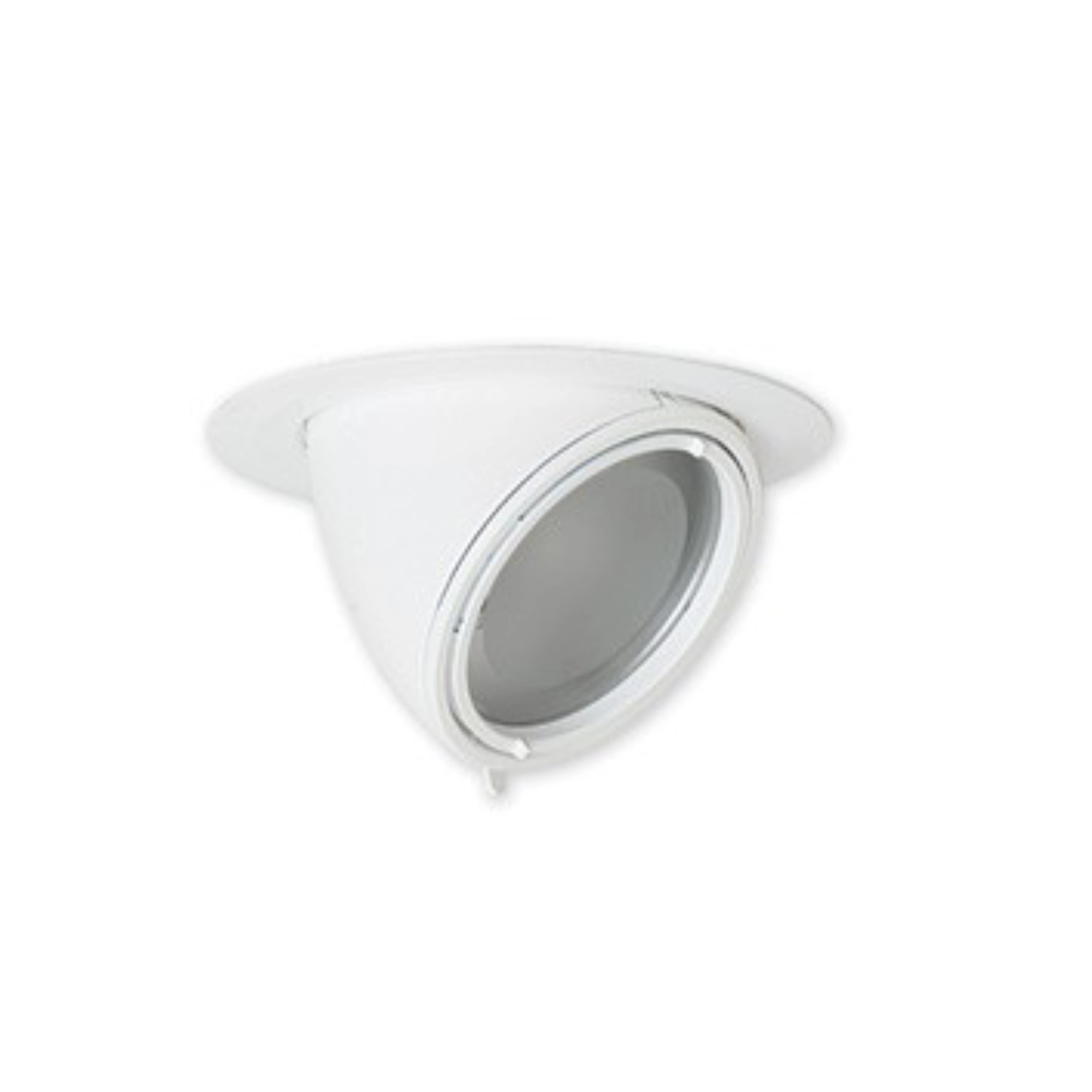 White dome security camera mounted on a ceiling, angled downward.